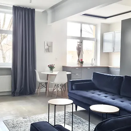 公寓 维尔纽斯老城公寓及套房 *