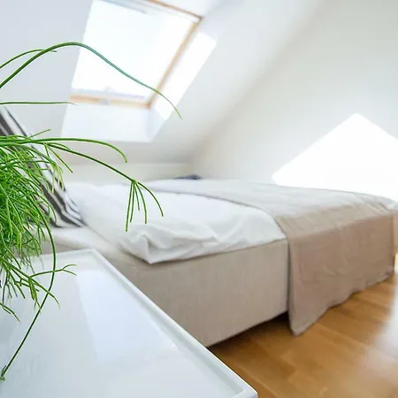 & - Old Town Apartment