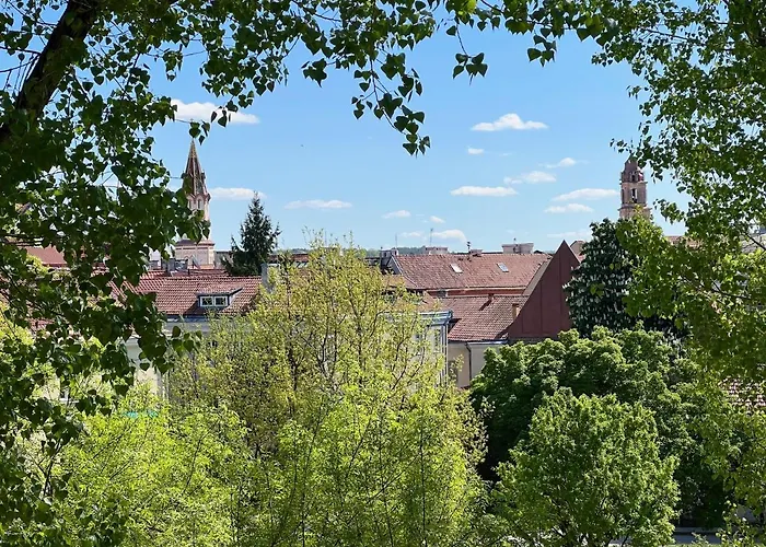 维尔纽斯老城公寓及套房 公寓